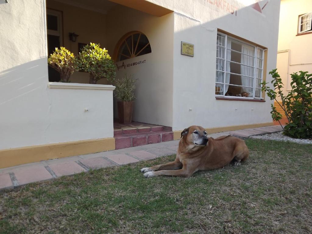 كنيسنا Aestas Bed & Breakfast المظهر الخارجي الصورة